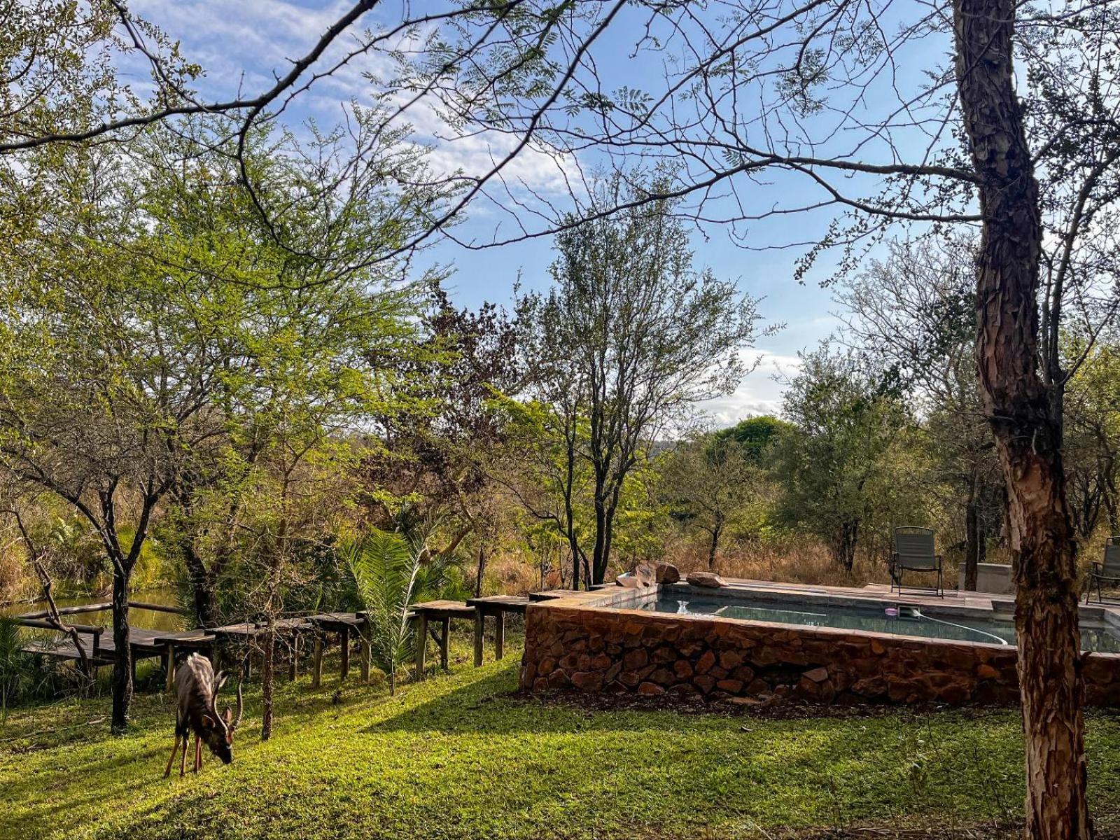 Mbuluzi Game Reserve Simunye Camera foto