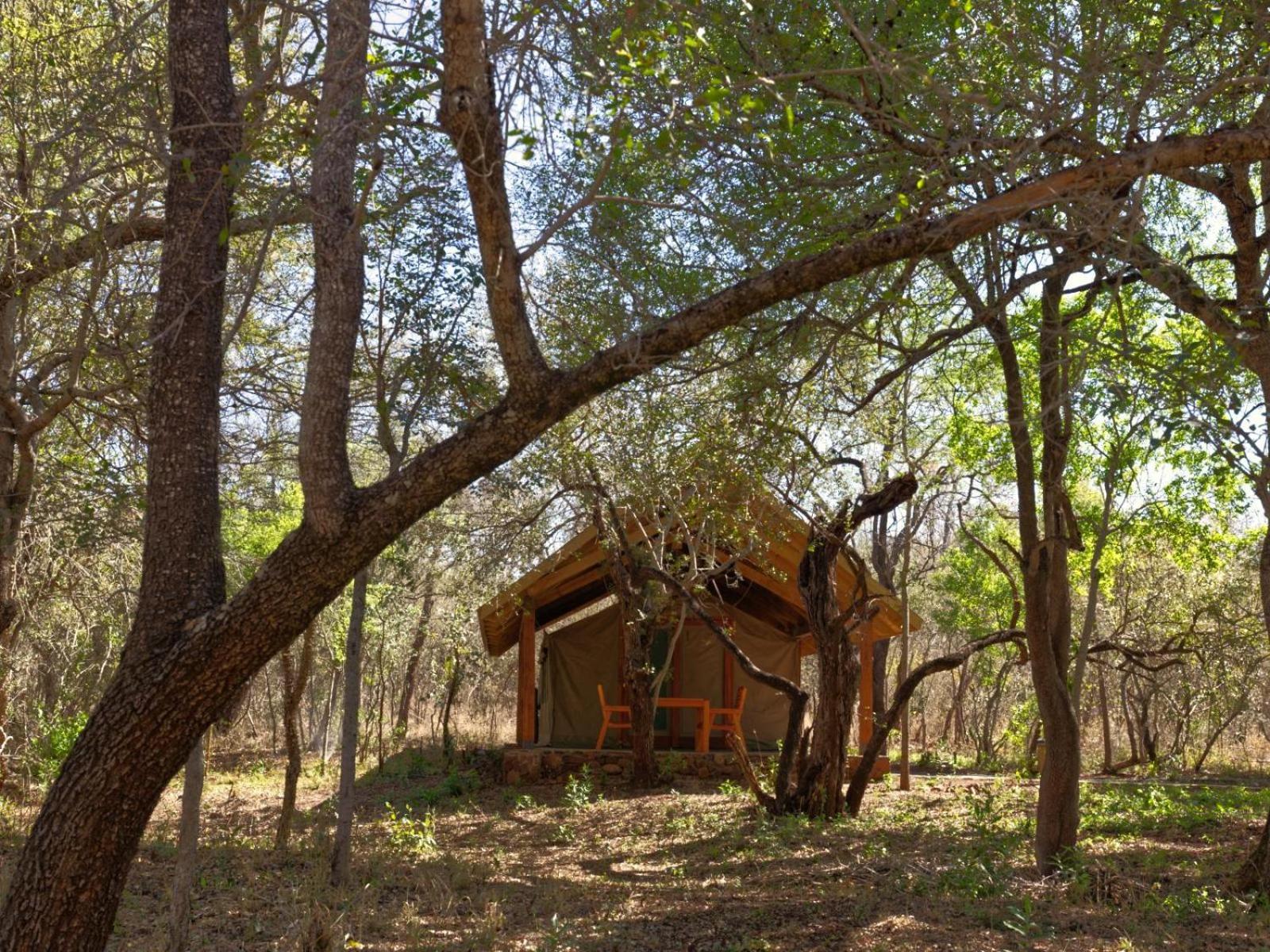 Mbuluzi Game Reserve Simunye Camera foto